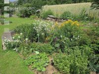 Kräutergarten 2
