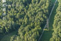 Stromleitung über Wald