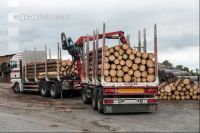 Holz abladen im Sägewerk