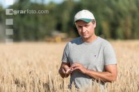 Rye harvest 5