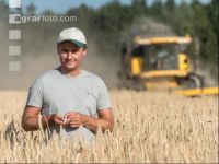 Rye harvest 8