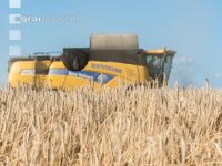 Rye harvest 9