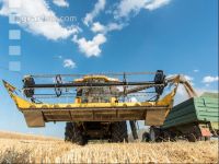 Rye harvest 15
