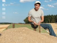 Rye harvest 16