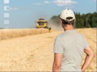 Rye harvest 20