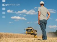 Rye harvest 21