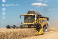 Rye harvest 22