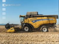 Rye harvest 24