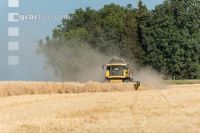 Roggen Ernte 25