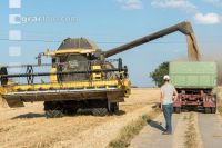 Rye harvest 29