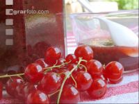 Ribiselmarmelade 3