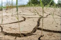 Desiccated stream bed 7