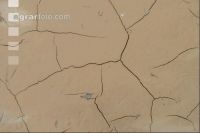Desiccated stream bed 5