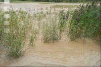 Desiccated stream bed 4