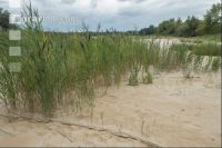 Desiccated stream bed 2