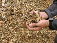 Wood chips 20