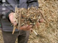 Wood chips 21