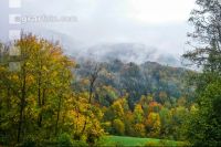 Nebel im Spätherbst 1
