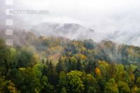 Nebel im Spätherbst 2