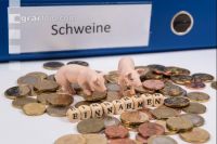 Finanzen Schweine 1