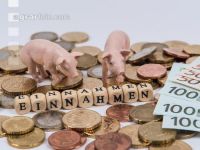 Finanzen Schweine 2