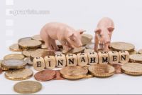Finanzen Schweine 3