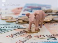 Finanzen Schweine 6