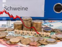 Finanzen Schweine 7