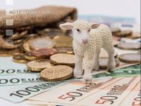 Finanzen Schafe 5