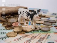 Finanzen Rinder 21