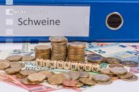 Finanzen Schweine 10