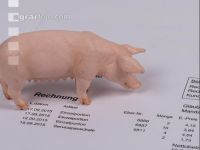 Schweinepreis 1