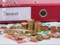 Tierarztkosten 2
