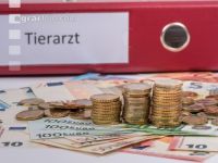 Tierarztkosten 1