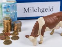 Milchgeldrechnung 15