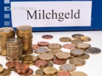 Milchgeldrechnung 13