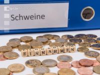 Finanzen Schweine 5
