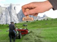 Bergmähder