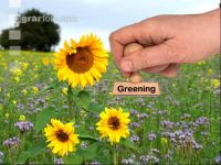 Greening