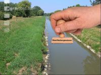 Oberflächengewässer