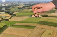Pacht 2