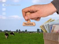 Tierprämie