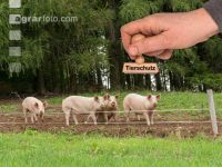 Tierschutz 2