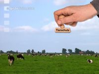 Tierschutz