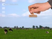 Weidehaltung
