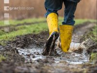 Regenwetter 3