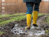 Regenwetter 2