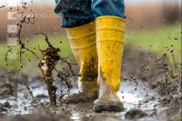 Regenwetter 1