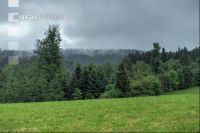 Regenwetter 7