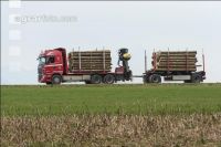 Holztransport mit LKW 4